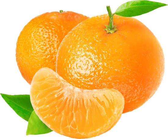 대구 한 고교서 살충제 묻은 귤 건넨 사건, 교육 당국 “고의성 없다” 판단에 논란 기사 이미지