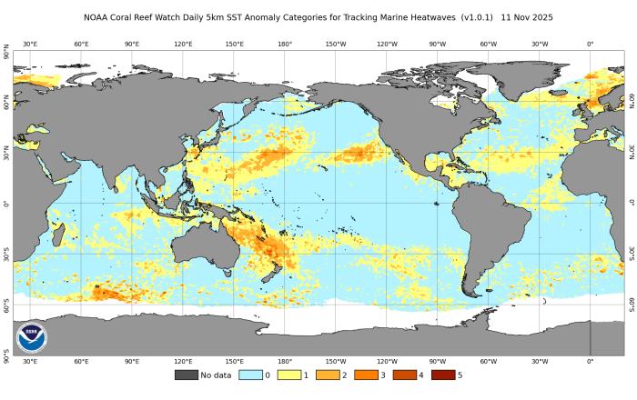 바다에 닥친 보이지 않는 폭염…전 세계 ‘해양 열파’ 급증이 경고하는 미래 기사 이미지