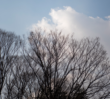 평년보다 다소 포근하지만… 2026년 2월, 초반 한파·곳곳 눈·큰 일교차 주의 기사 이미지