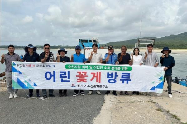 옹진군 수산종자연구소 어린 꽃게 40만 마리 방류 기사 이미지