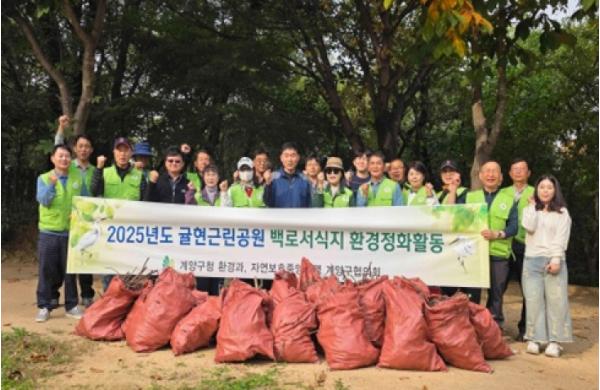 계양구, 귤현근린공원 백로서식지 환경정화활동 실시 기사 이미지