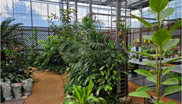 3년간 8,698건 진료한 서울시 반려식물병원, `영상·원격 진료` 도입 기사 이미지