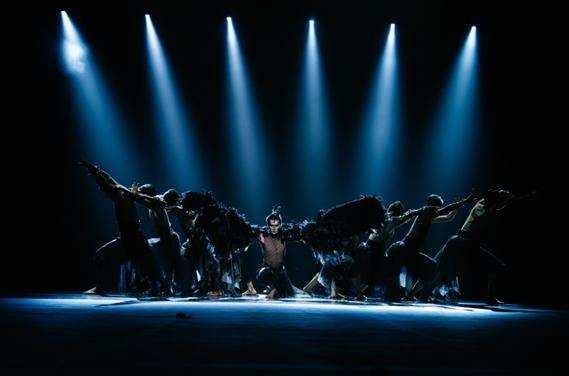 인천시립무용단 상임부안무자·출연단원 공개 모집 기사 이미지