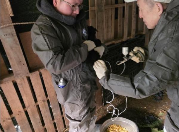 계양구, 구제역 긴급 예방접종 실시 기사 이미지
