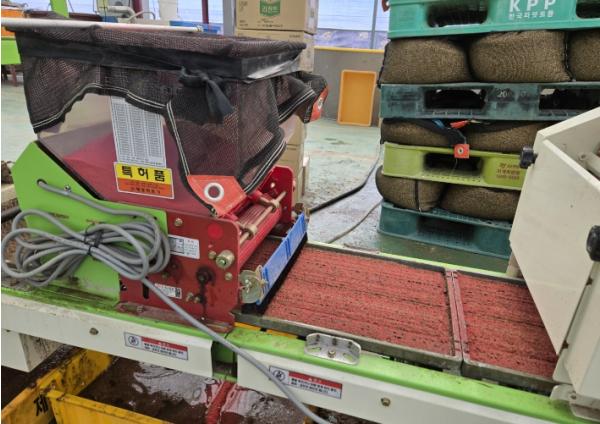 강화군, 벼 병해충 방제 약제 지원 신청하세요! 기사 이미지