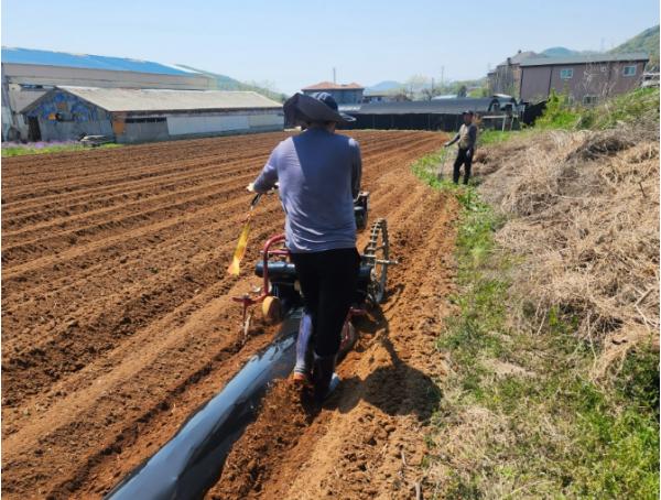 강화군, 밭 농작업 대행 서비스 추진… 농촌 일손 부족 문제 해법 큰 호응
