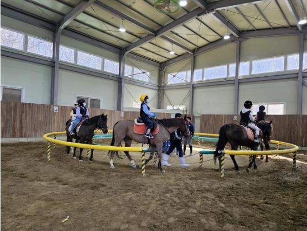 경기도, 초중고 학생·장애인 등 1만 5천명 승마체험 지원