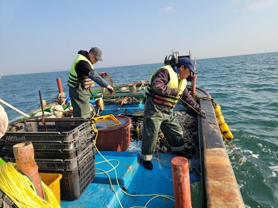 인천시, 2026년 제8기 인천 귀어학교 입교 희망자 모집