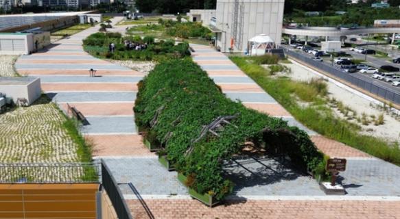 인천시, 남촌농산물도매시장 옥상텃밭 프로그램 참여자 모집