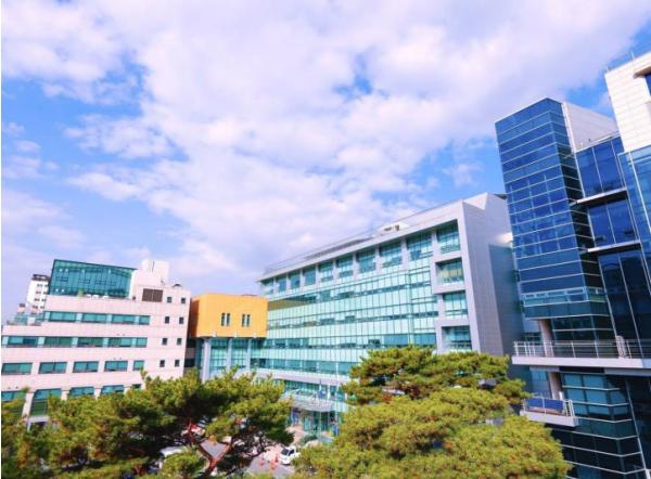 '내 땅 가격 얼마일까' 은평구, 2026년 개별공시지가 열람 시작