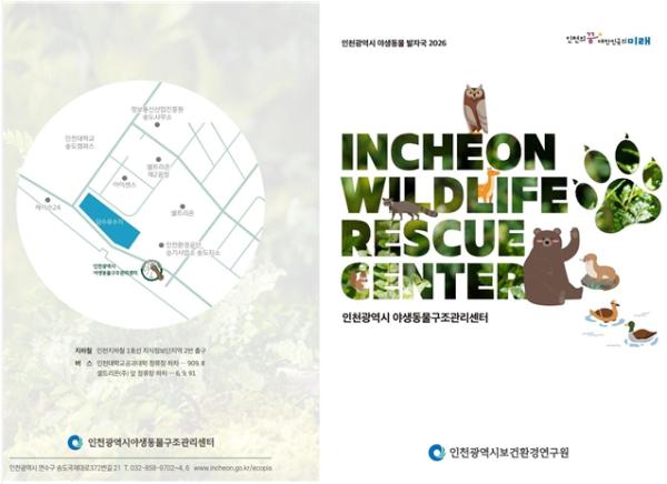 인천시, 구조 야생동물 46.6% 자연으로…지난해 성과 공개