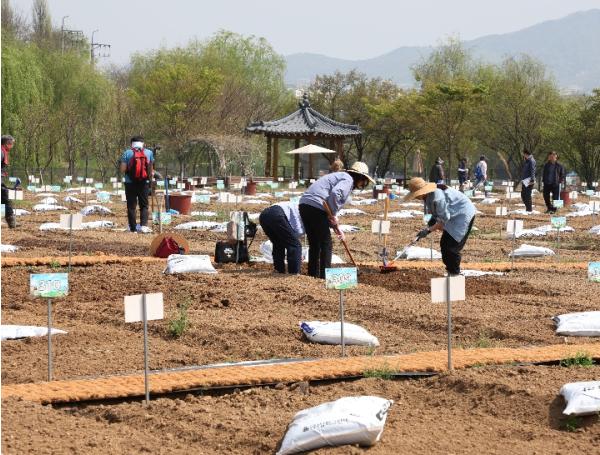 강남구, 구민 호응 힘입어 힐링텃밭 확대…수서동 힐링텃밭 신규 개장