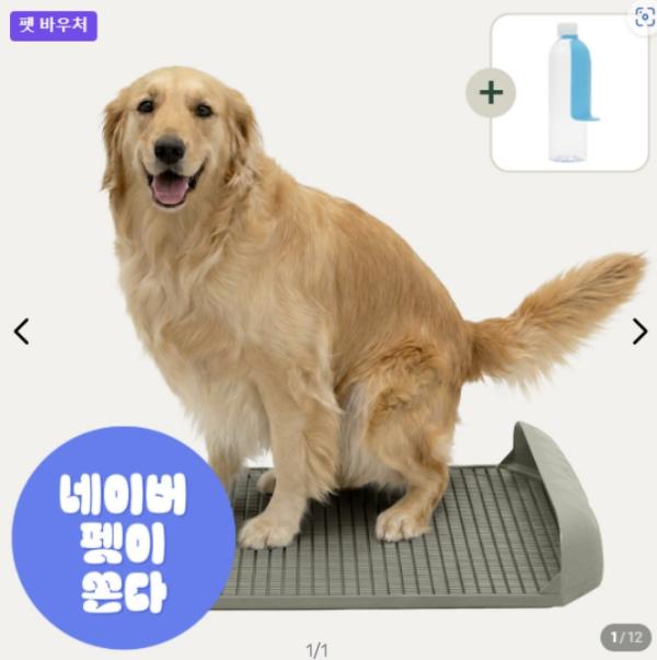 6월 한 달간 경기도 중소기업 반려동물 용품 1,500종 최대 30% 할인
