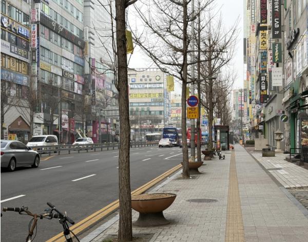 '철제 대신 푸른 온기 입혔다' 화성특례시 병점구, 노후 가로수 보호판 인조잔디로 새단장